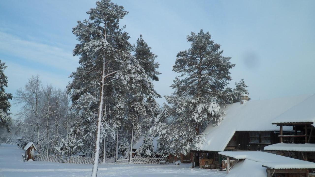 Viruna Farm Kiraste Bagian luar foto
