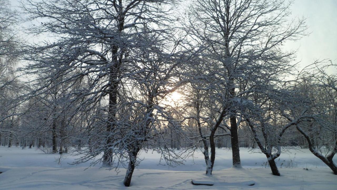 Viruna Farm Kiraste Bagian luar foto