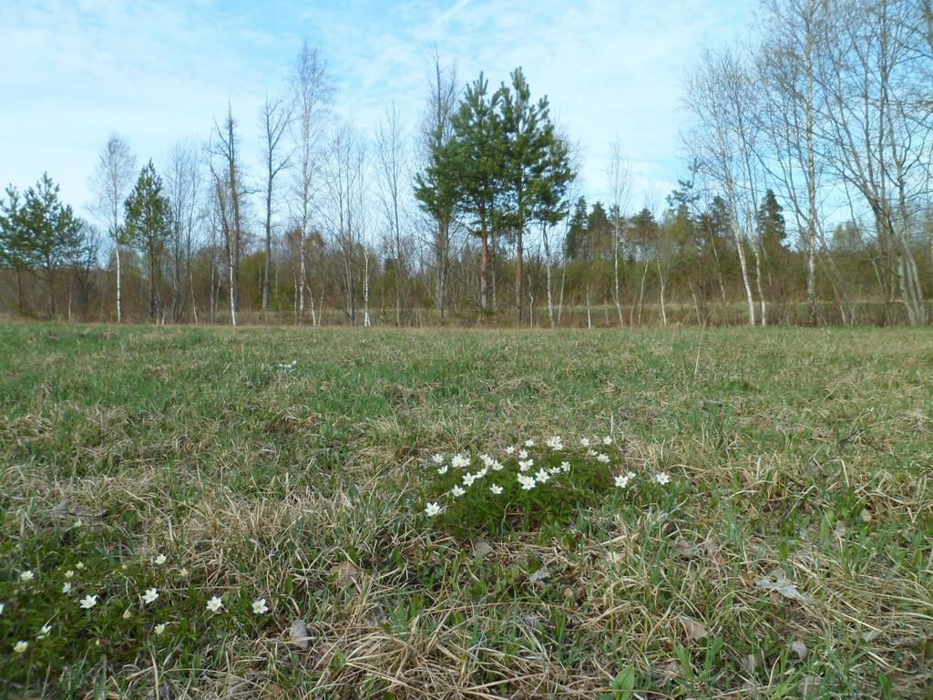 Viruna Farm Kiraste Bagian luar foto