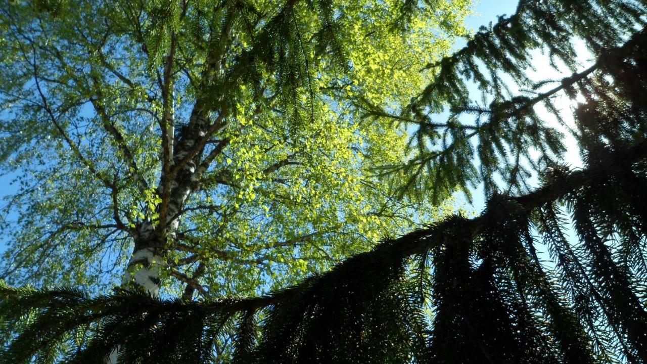 Viruna Farm Kiraste Bagian luar foto