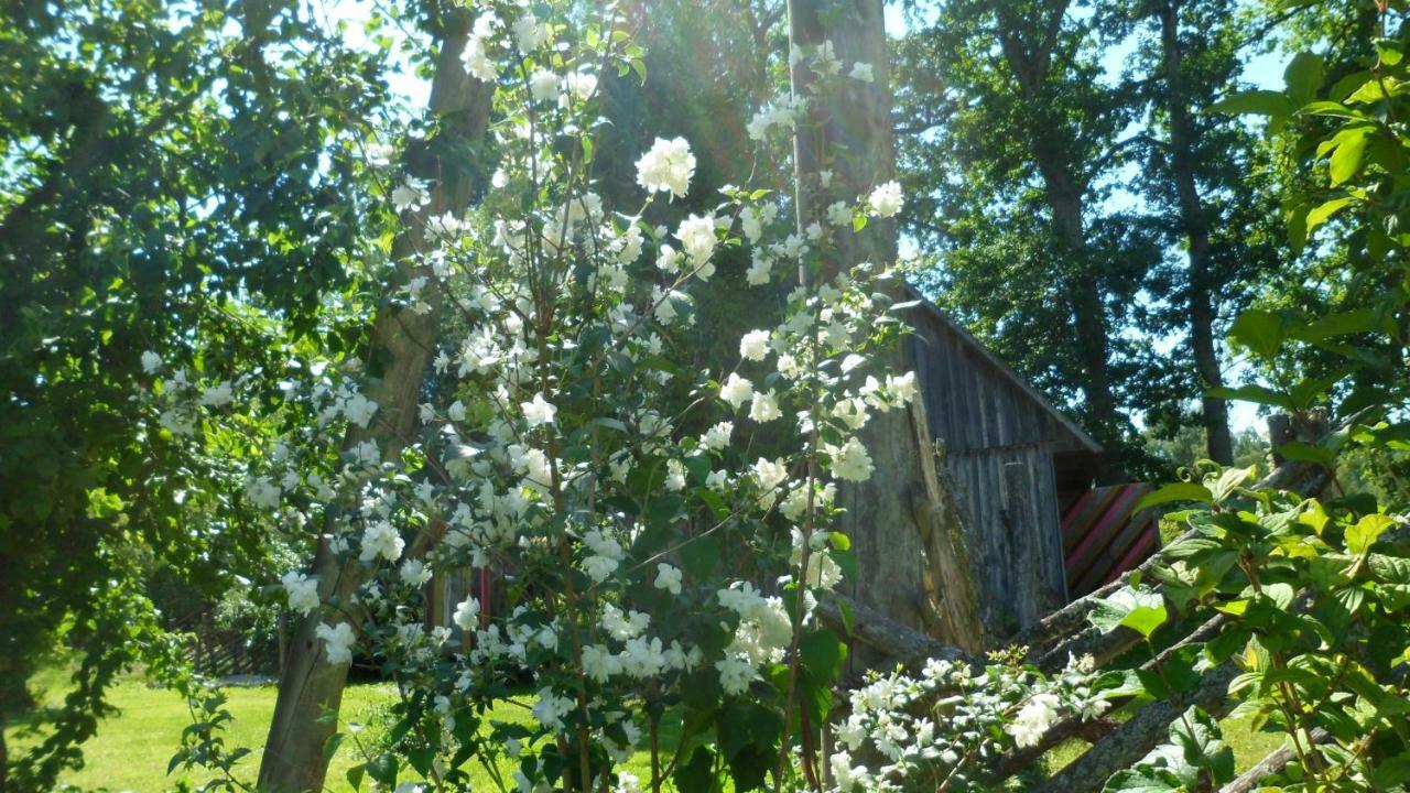 Viruna Farm Kiraste Bagian luar foto