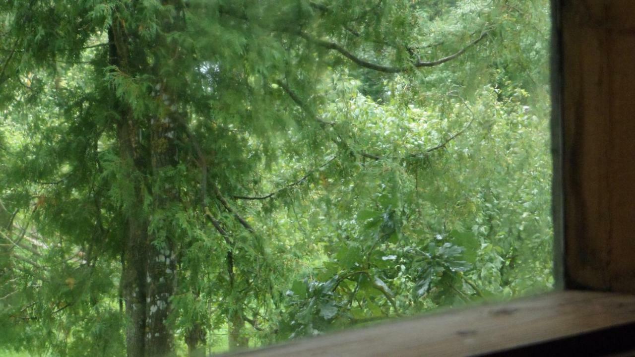 Viruna Farm Kiraste Bagian luar foto
