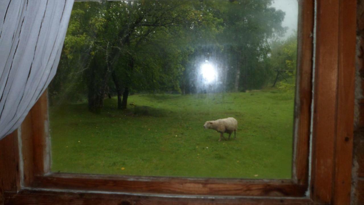 Viruna Farm Kiraste Bagian luar foto