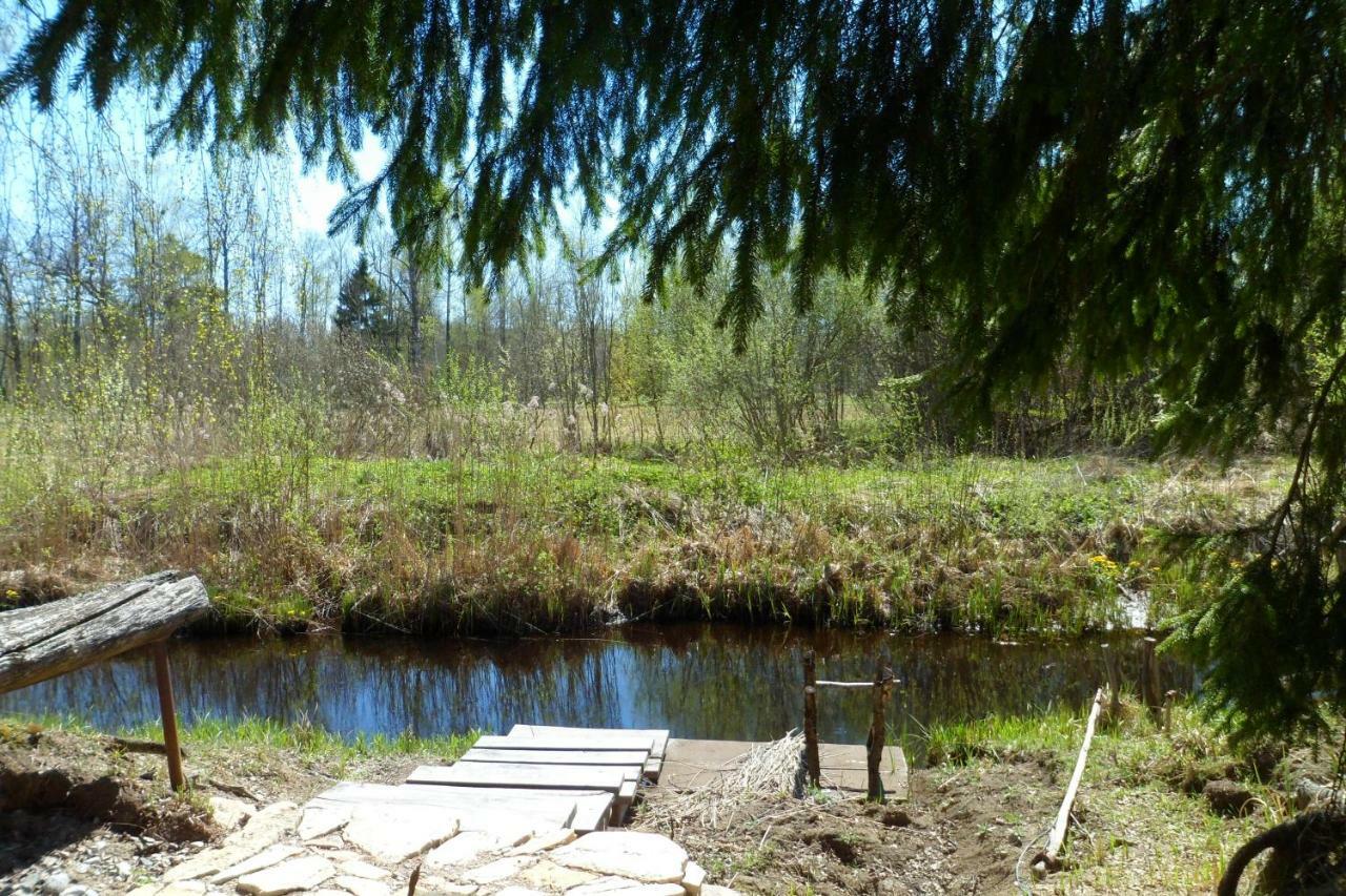 Viruna Farm Kiraste Bagian luar foto